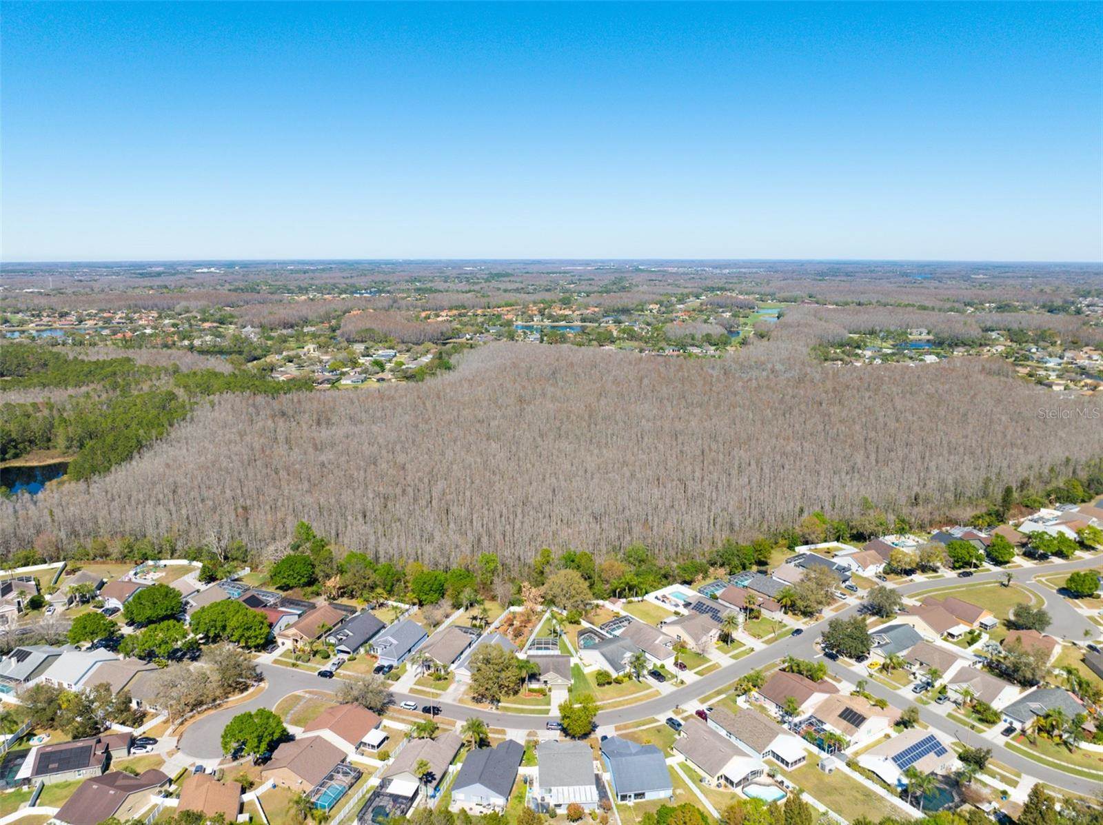 4511 Gulfwinds Drive, Lutz, FL 33558