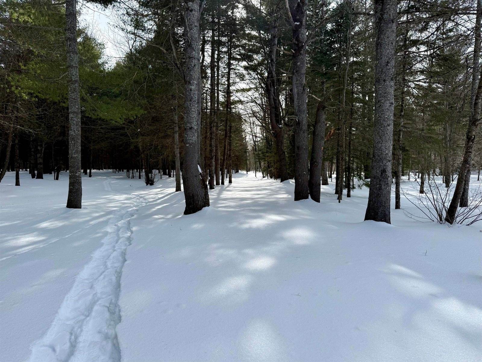 Lot 34 Meadow Wood Drive, Brownville, ME 04414