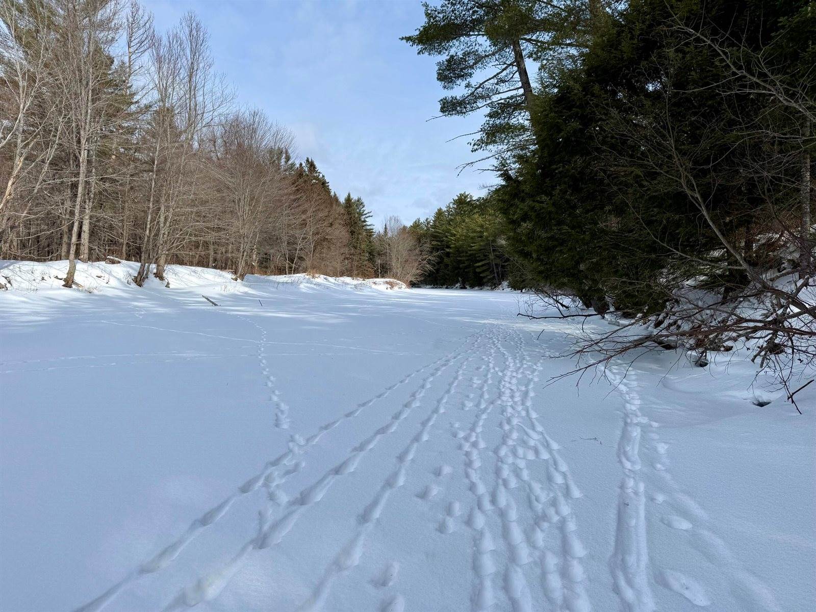 Lot 34 Meadow Wood Drive, Brownville, ME 04414