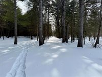 Lot 34 Meadow Wood Drive, Brownville, ME 04414