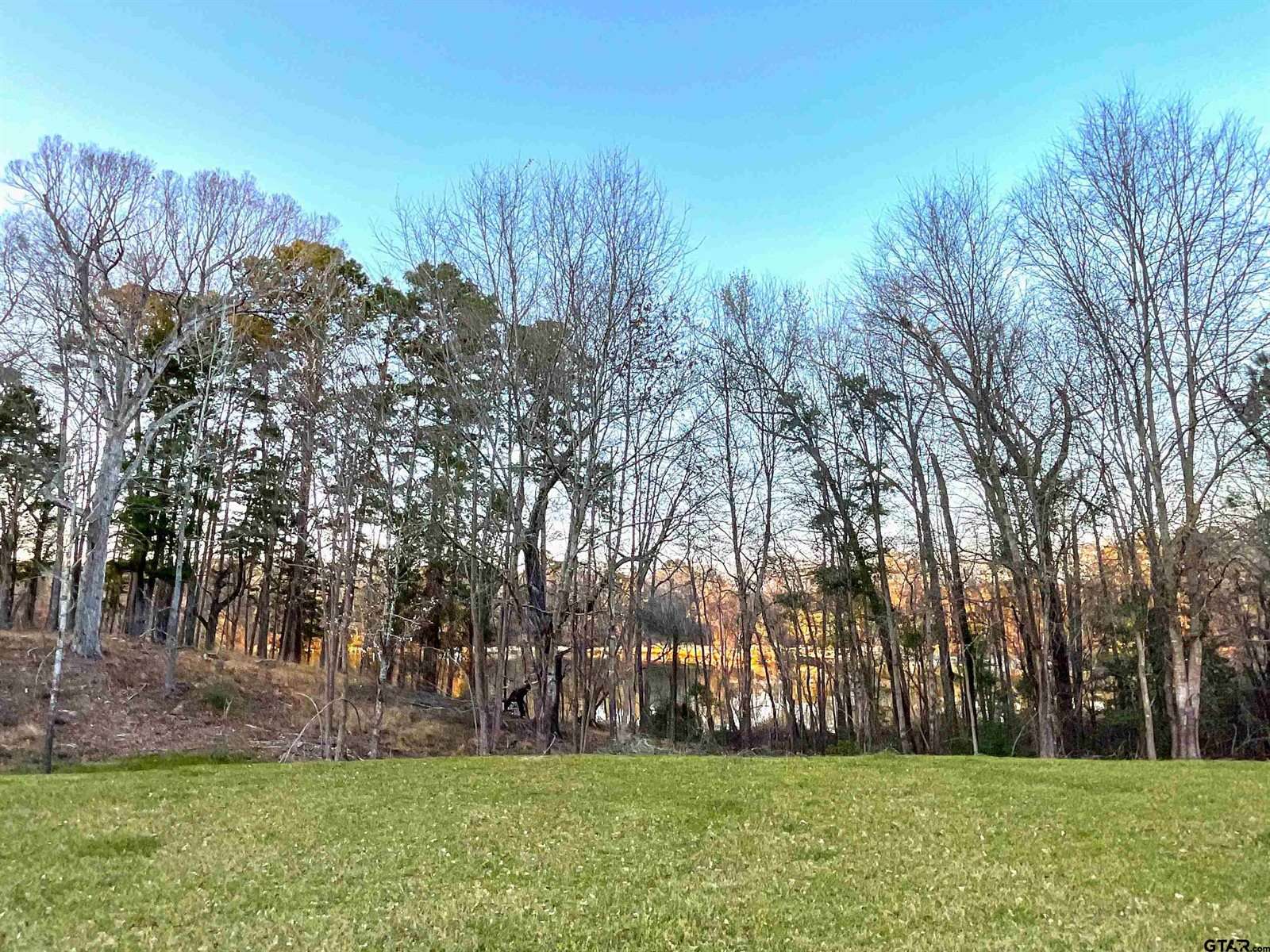 17961 Gordons landing rd, Arp, TX 75750