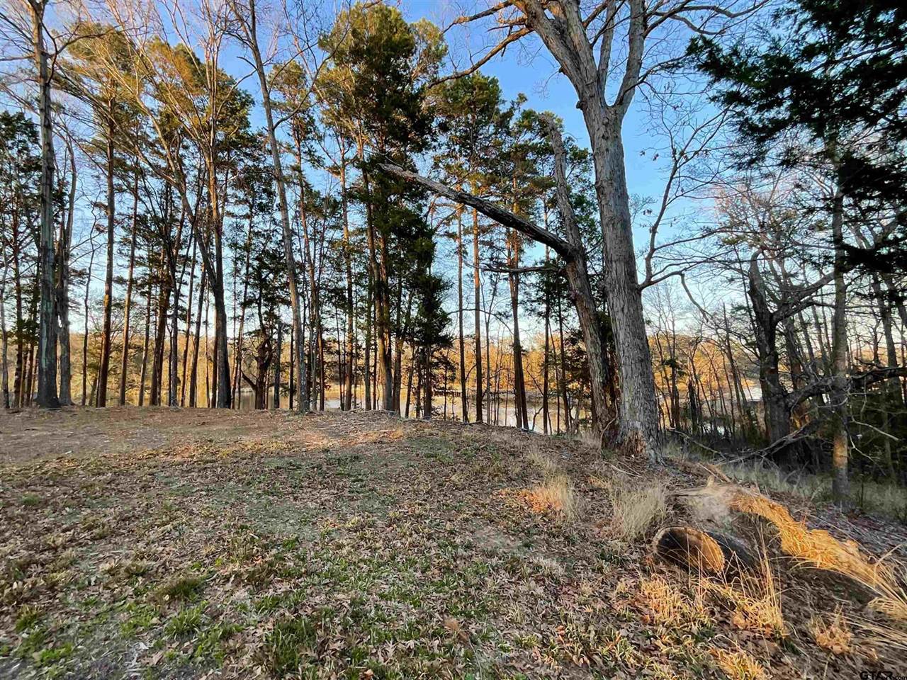 17961 Gordons landing rd, Arp, TX 75750