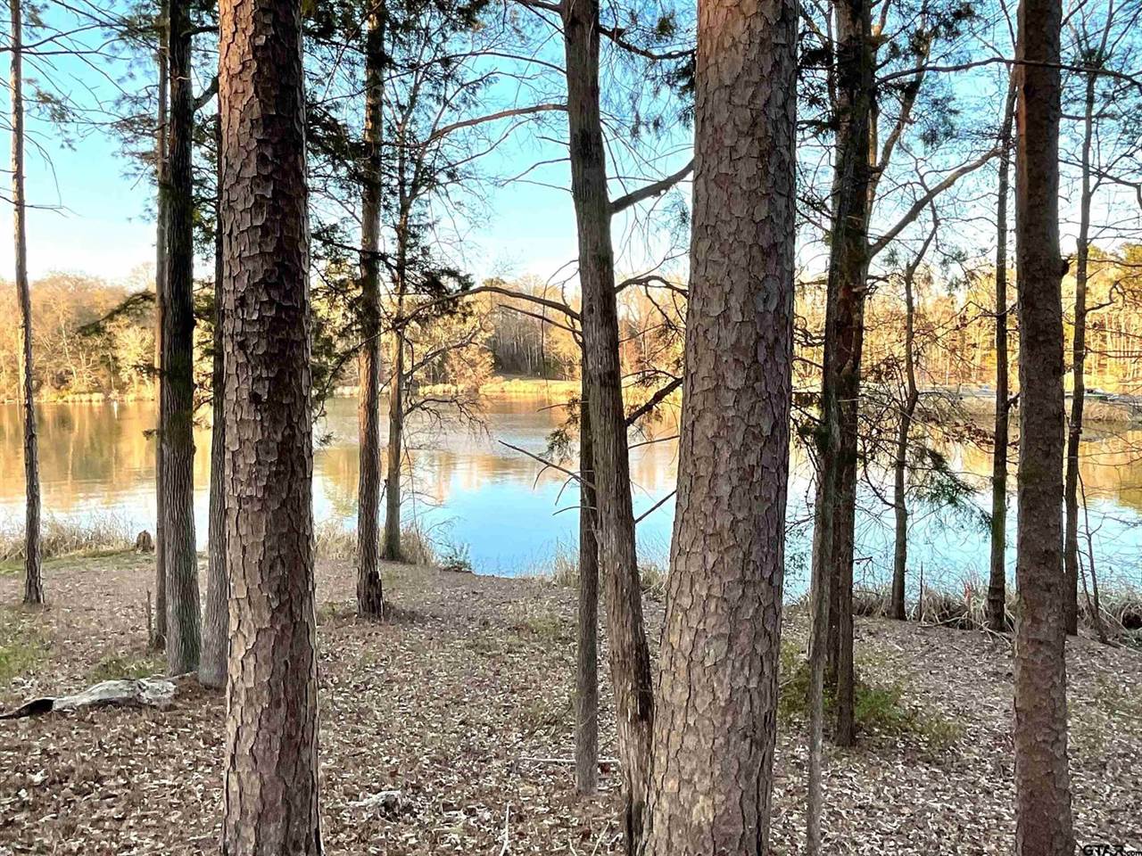 17961 Gordons landing rd, Arp, TX 75750