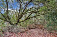 429 Sandhill Road, Dorchester, SC 29437