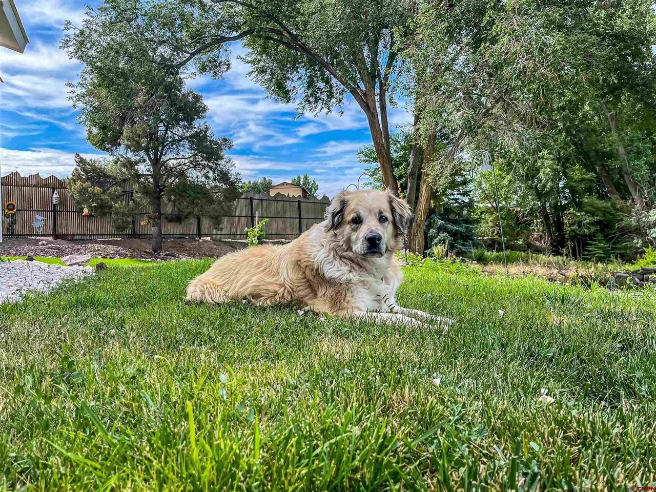 14103 Happy Hollow Road, Eckert, CO 81418