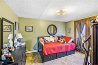 14103 Happy Hollow Road, Eckert, CO 81418