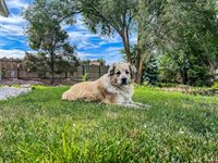 14103 Happy Hollow Road, Eckert, CO 81418