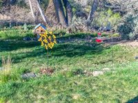 14103 Happy Hollow Road, Eckert, CO 81418