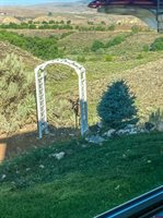 14103 Happy Hollow Road, Eckert, CO 81418