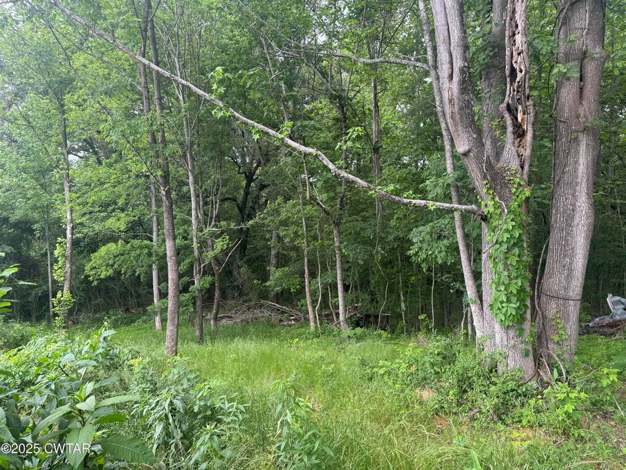 8705 State Route 100 East, Jacks Creek, TN 38347