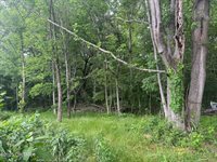 8705 State Route 100 East, Jacks Creek, TN 38347