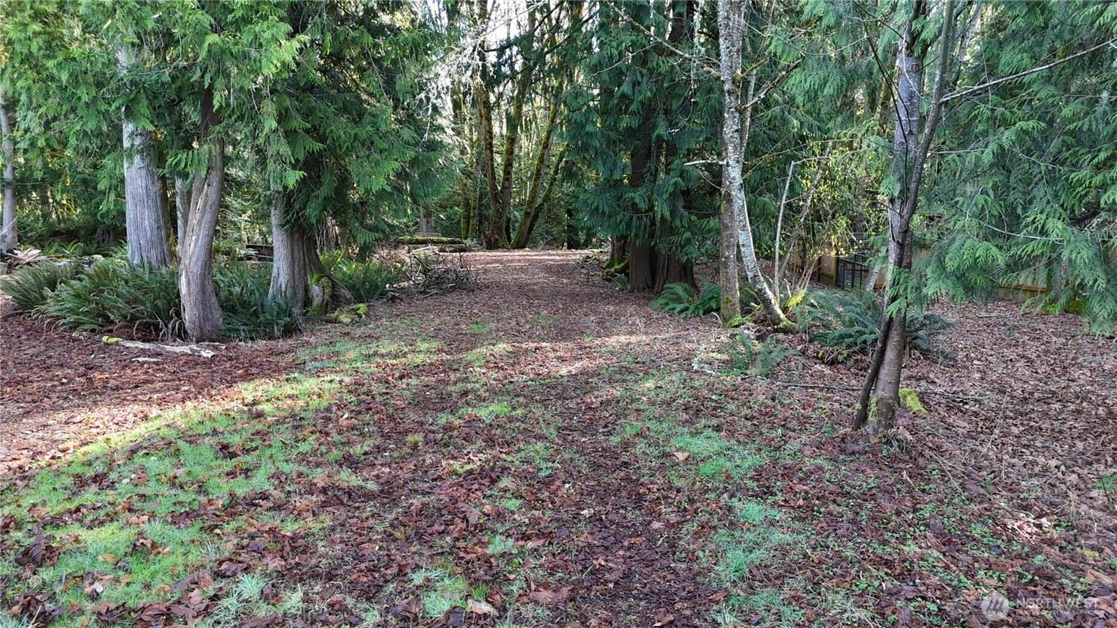2254 Yew Street Road, Bellingham, WA 98229