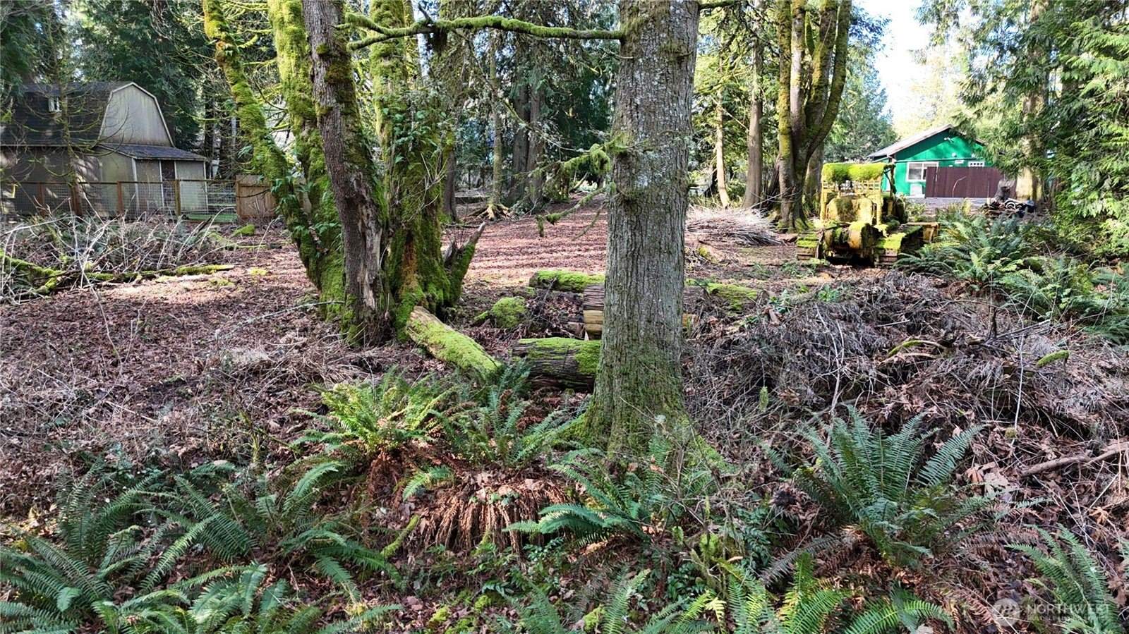 2254 Yew Street Road, Bellingham, WA 98229