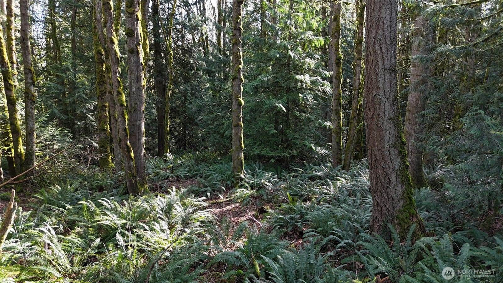 2254 Yew Street Road, Bellingham, WA 98229