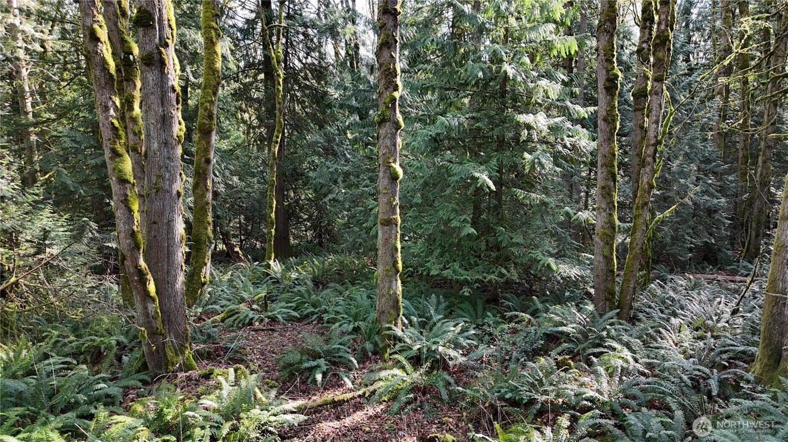 2254 Yew Street Road, Bellingham, WA 98229