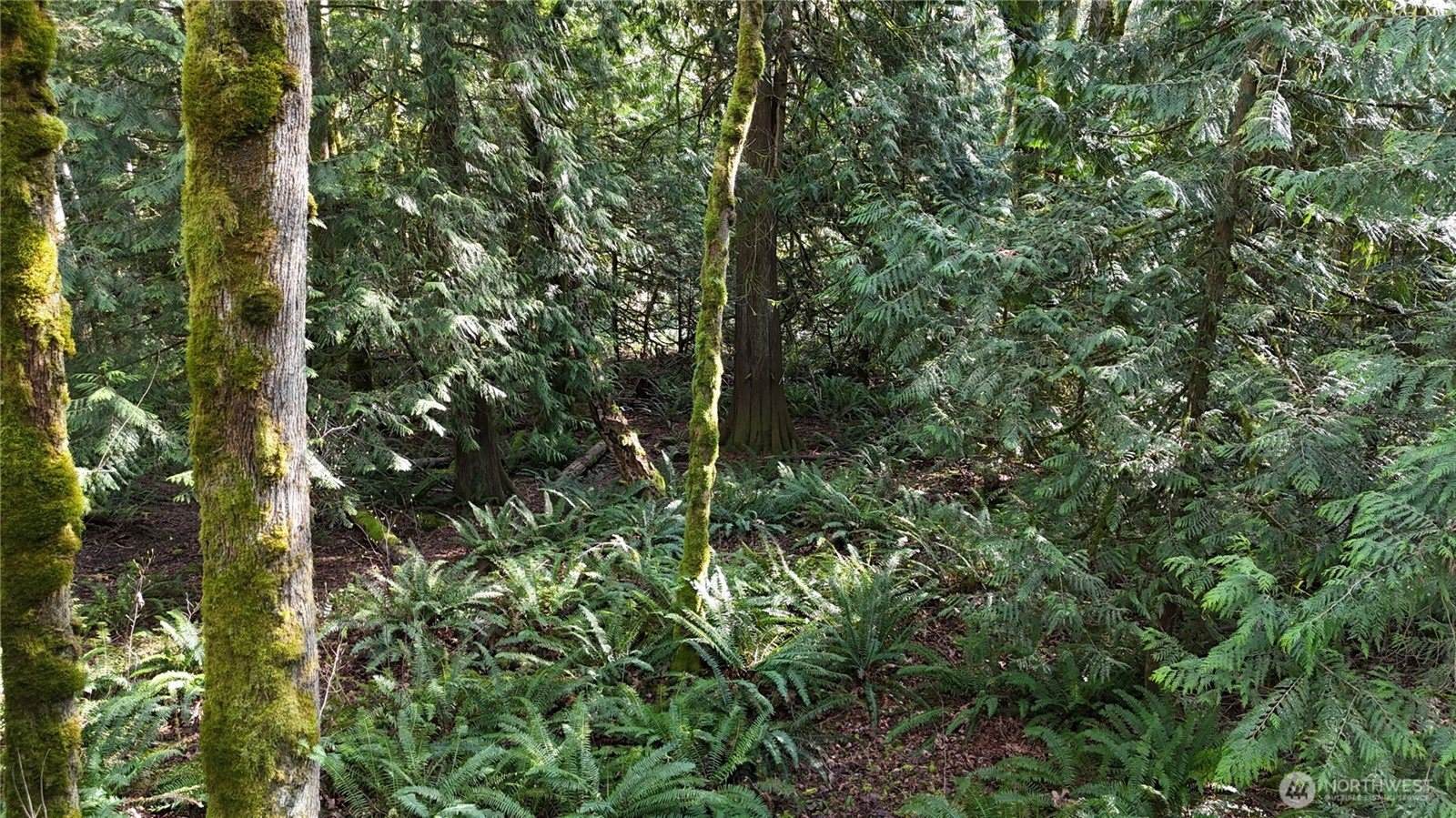 2254 Yew Street Road, Bellingham, WA 98229
