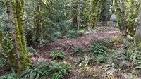2254 Yew Street Road, Bellingham, WA 98229