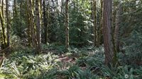 2254 Yew Street Road, Bellingham, WA 98229