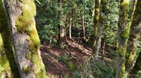2254 Yew Street Road, Bellingham, WA 98229