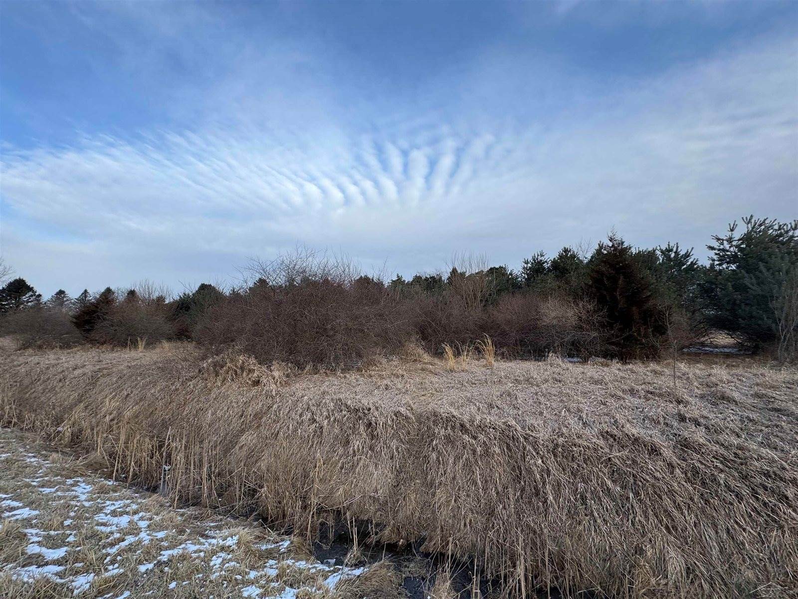 W Burt Road, Chesaning, MI 48616