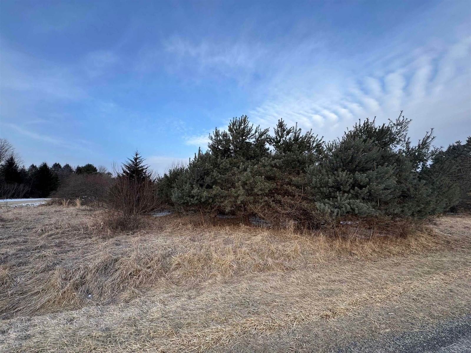 W Burt Road, Chesaning, MI 48616