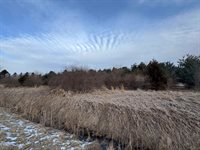 W Burt Road, Chesaning, MI 48616