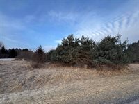 W Burt Road, Chesaning, MI 48616