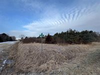 W Burt Road, Chesaning, MI 48616