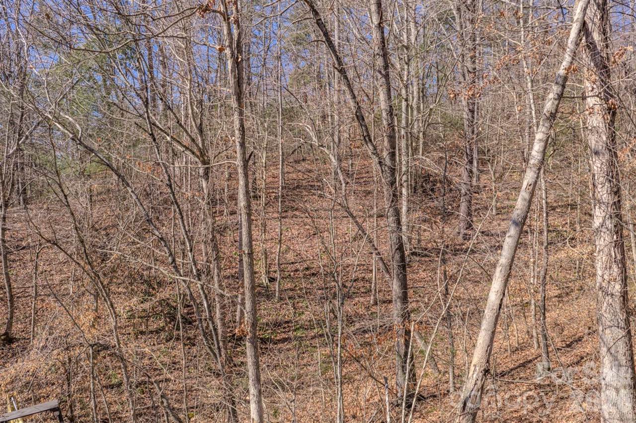 99999 Ralph Lunsford Road, Weaverville, NC 28787