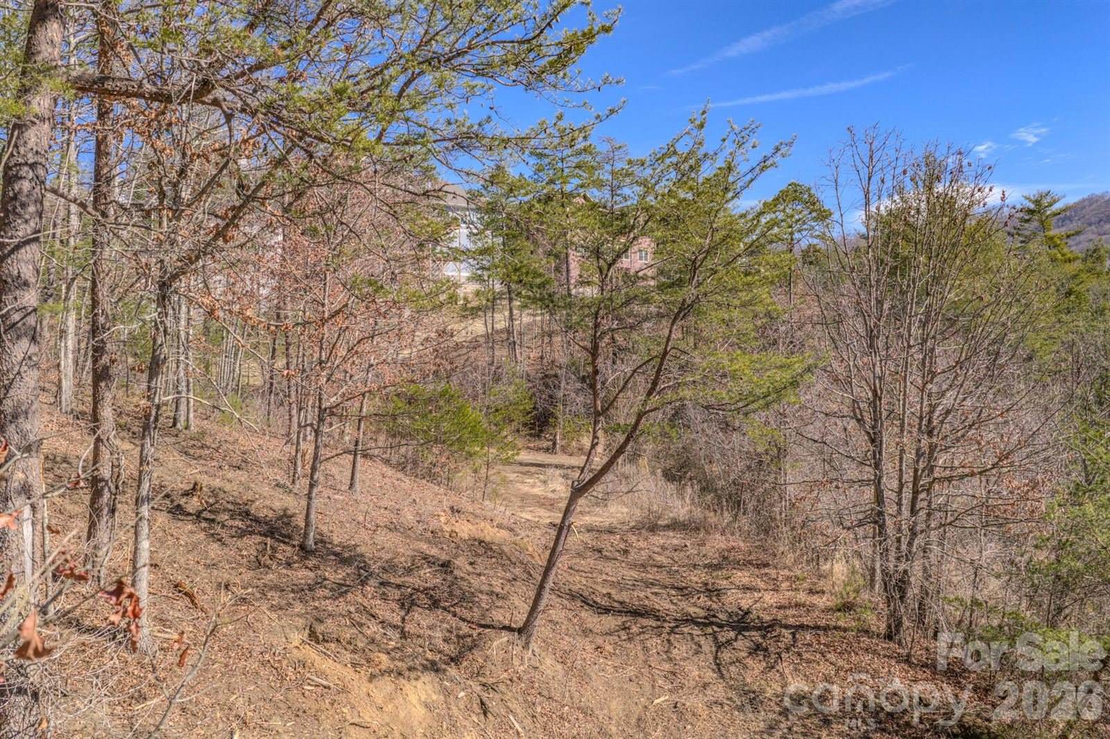 99999 Ralph Lunsford Road, Weaverville, NC 28787
