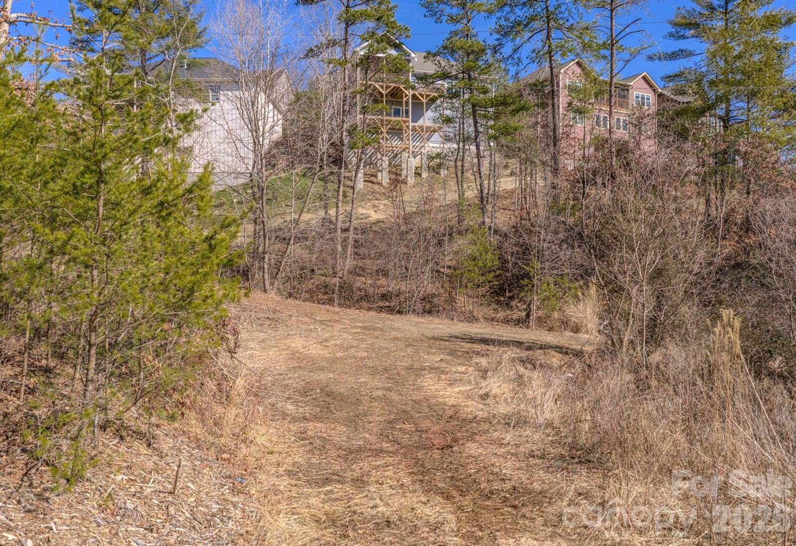 99999 Ralph Lunsford Road, Weaverville, NC 28787