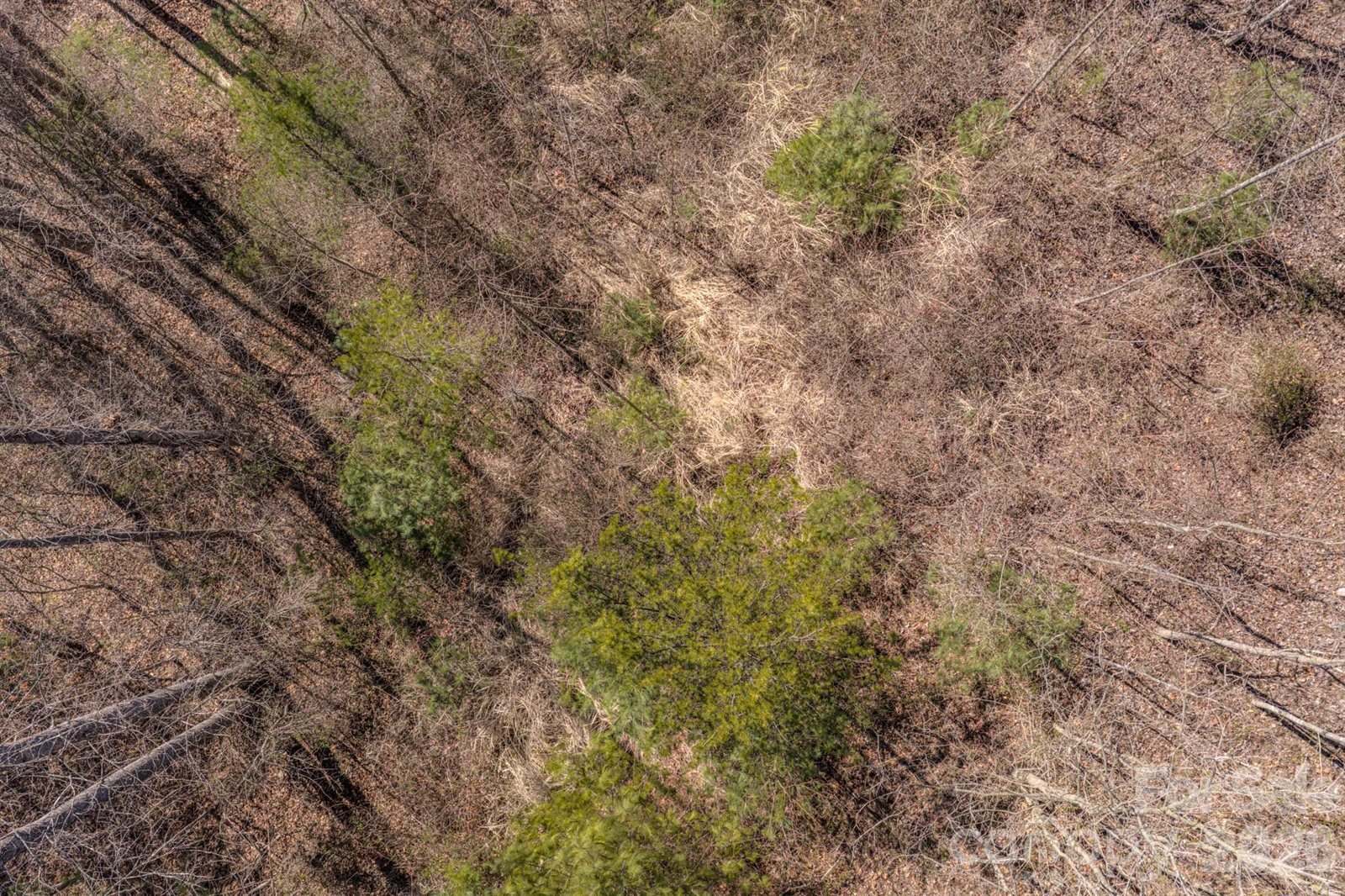 99999 Ralph Lunsford Road, Weaverville, NC 28787