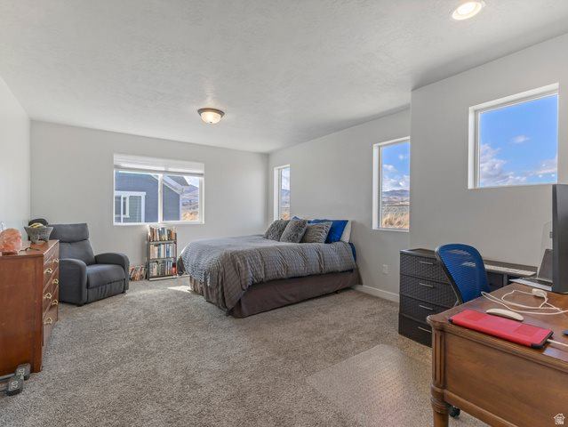 15022 South Wild Horse Way, Bluffdale, UT 84065