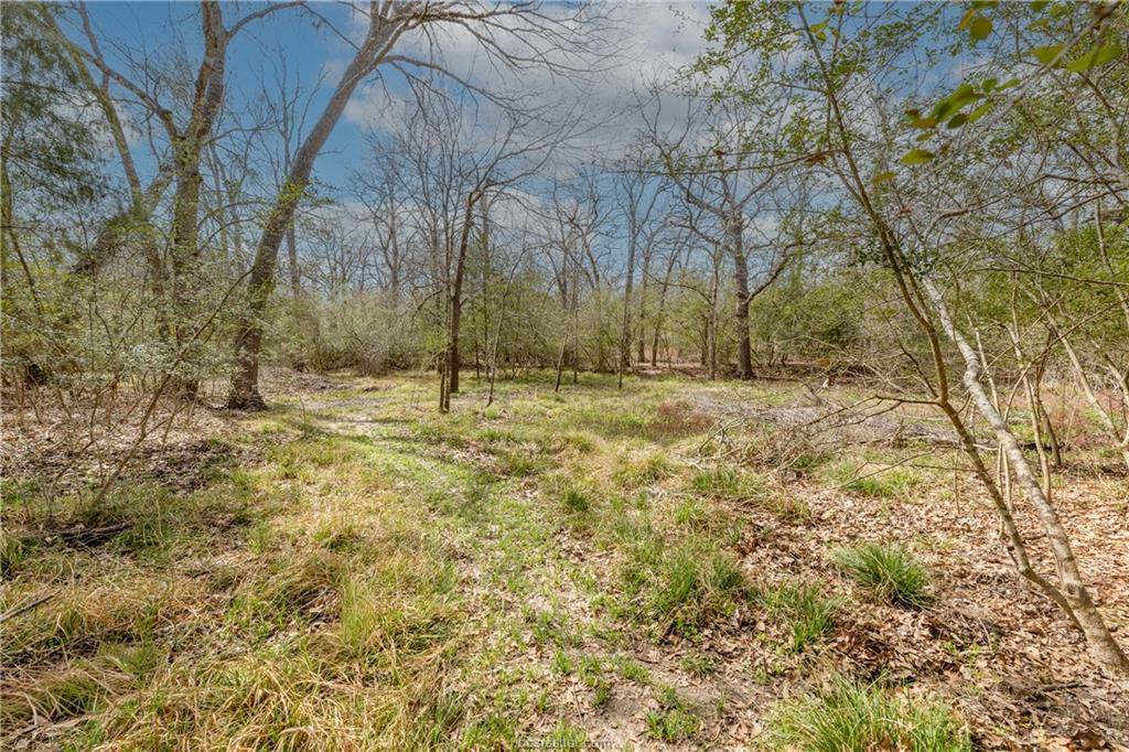 3563 Matoska Ridge, College Station, TX 77845