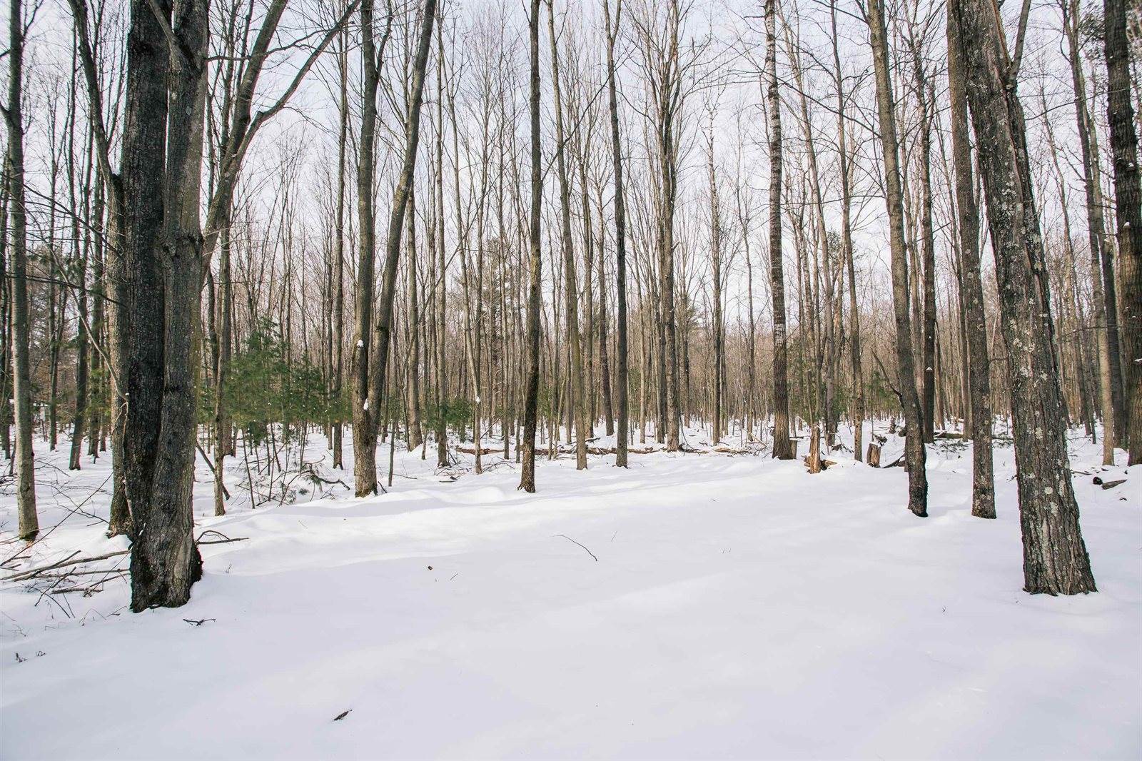 W962 Campfire Road, Granton, WI 54436