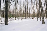 W962 Campfire Road, Granton, WI 54436