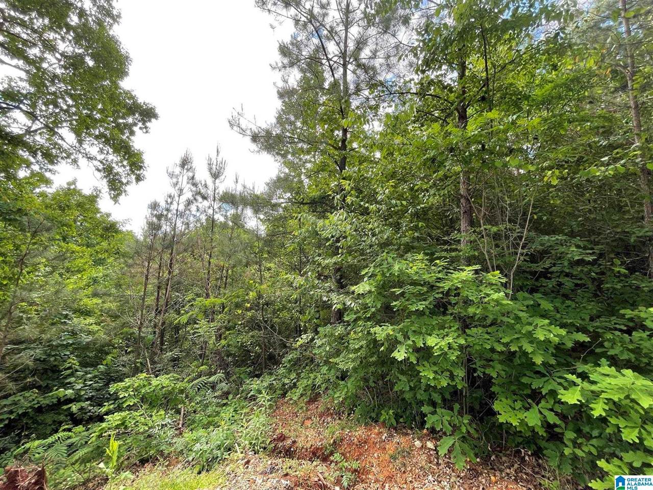 6434 Cambridge Road, #30, Pinson, AL 35126