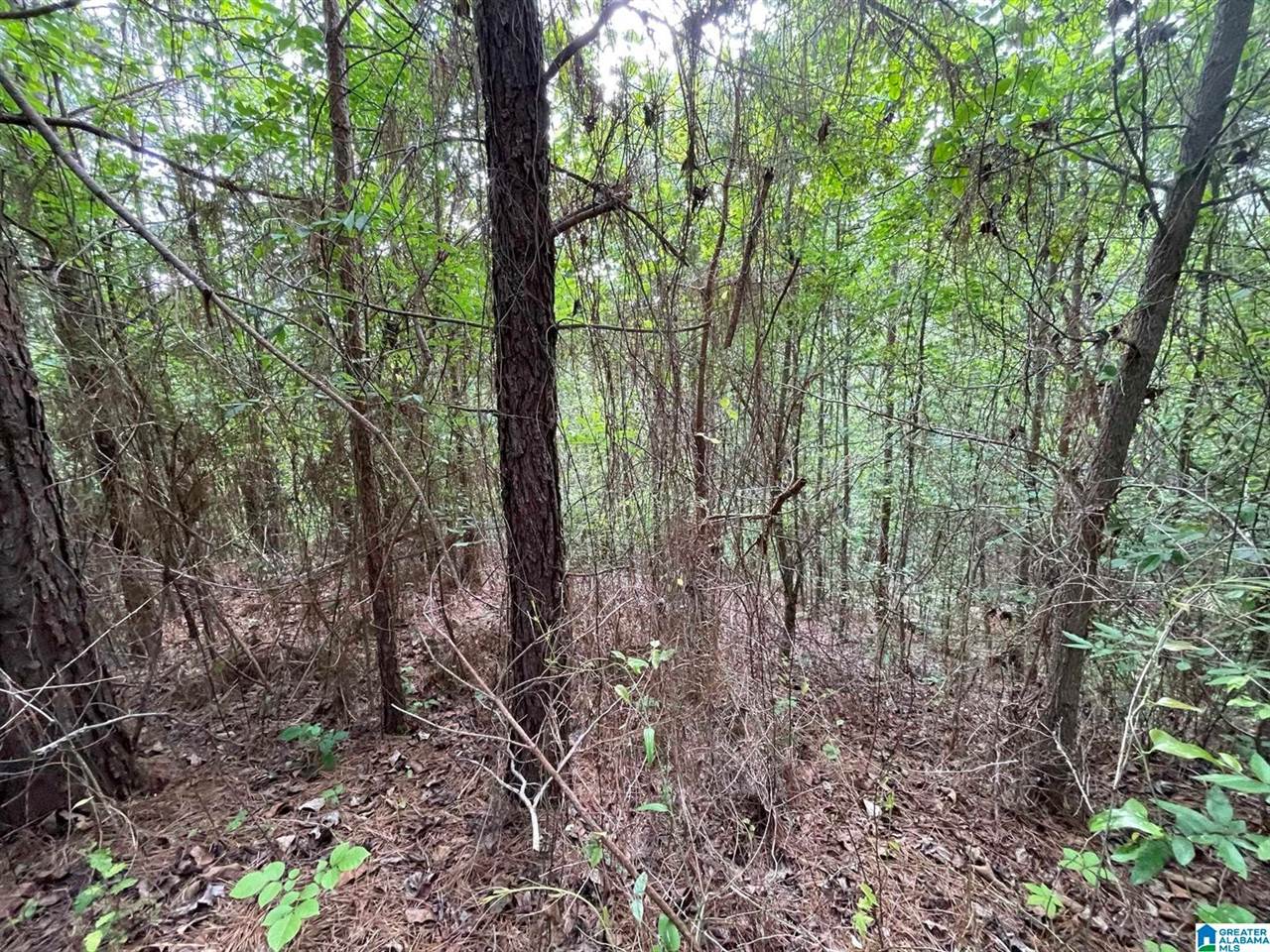 6434 Cambridge Road, #30, Pinson, AL 35126