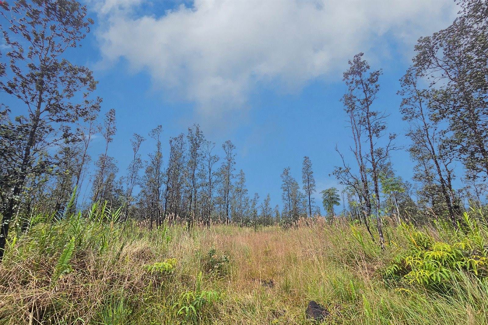 Road 9 (Koloa Maoli), Kurtistown, HI 96760