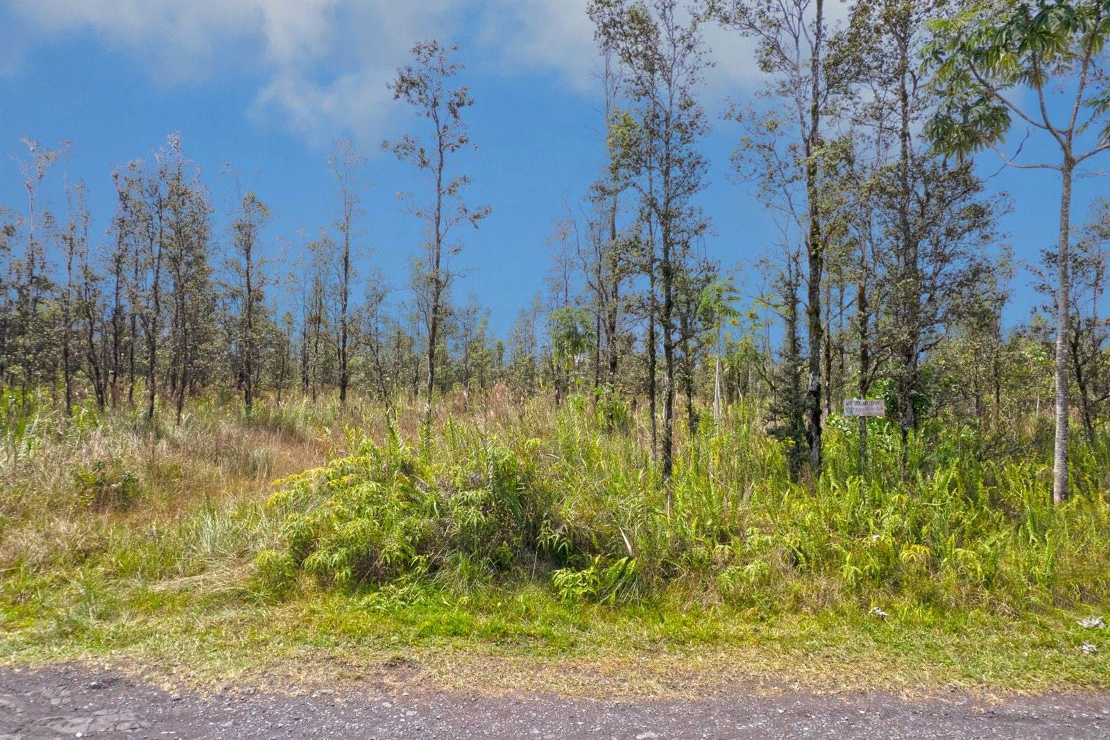 Road 9 (Koloa Maoli), Kurtistown, HI 96760