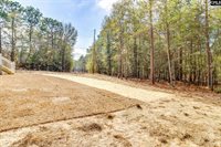 3920 Elmira, West Columbia, SC 29169
