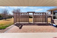 224 Sage Drive, Montrose, CO 81401