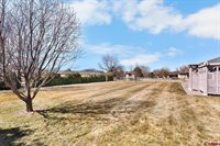 224 Sage Drive, Montrose, CO 81401