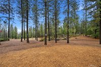 8863 Fox Drive, Cobb, CA 95426