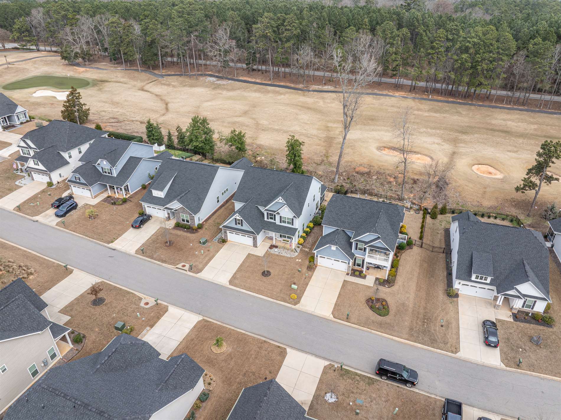 248 Laurelbrook Drive, Chapin, SC 29036