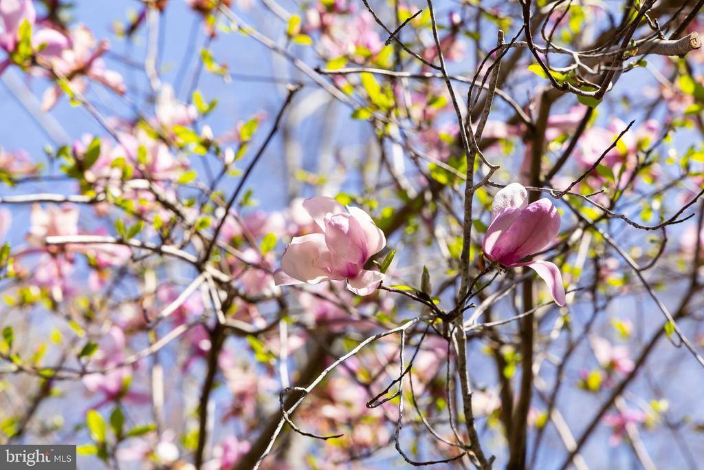 8701 Sinclair Mill Road, Manassas, VA 20112