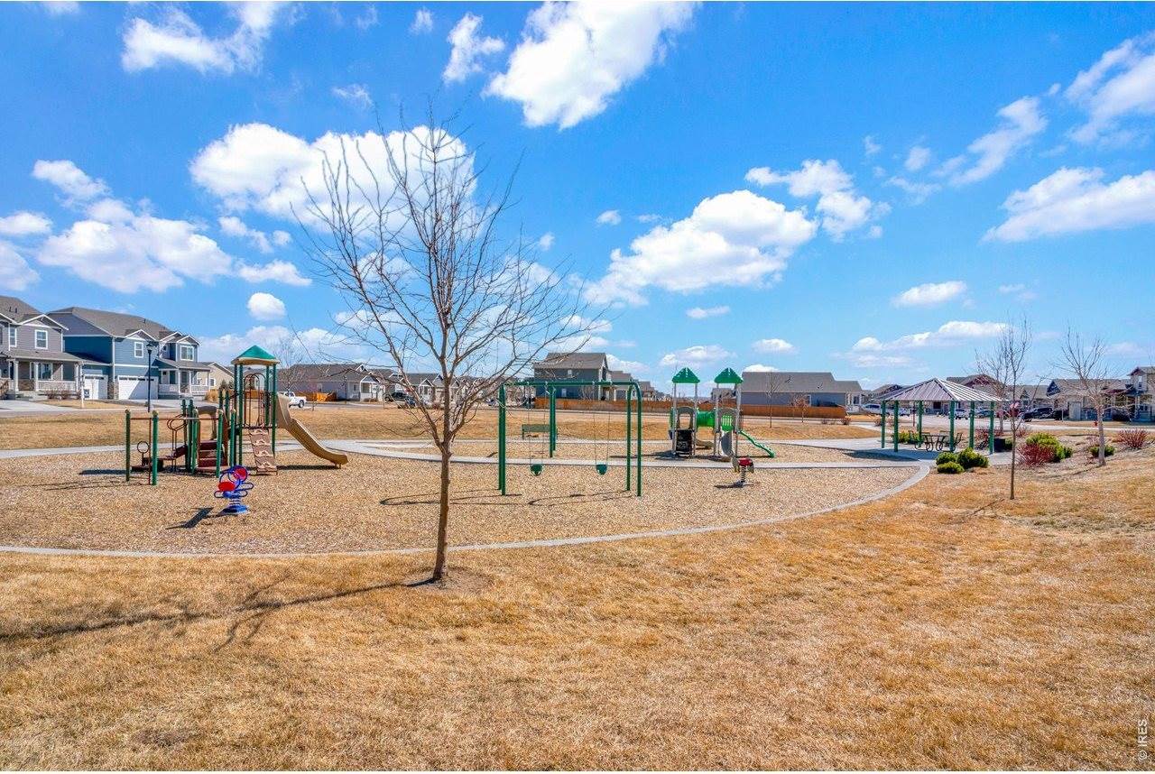 864 Forest Canyon Rd, Severance, CO 80550