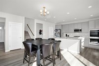 864 Forest Canyon Rd, Severance, CO 80550