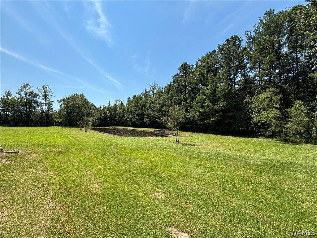 14402 Hwy 171, Northport, AL 35475