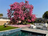 9549 Gladbeck, Northridge, CA 91324